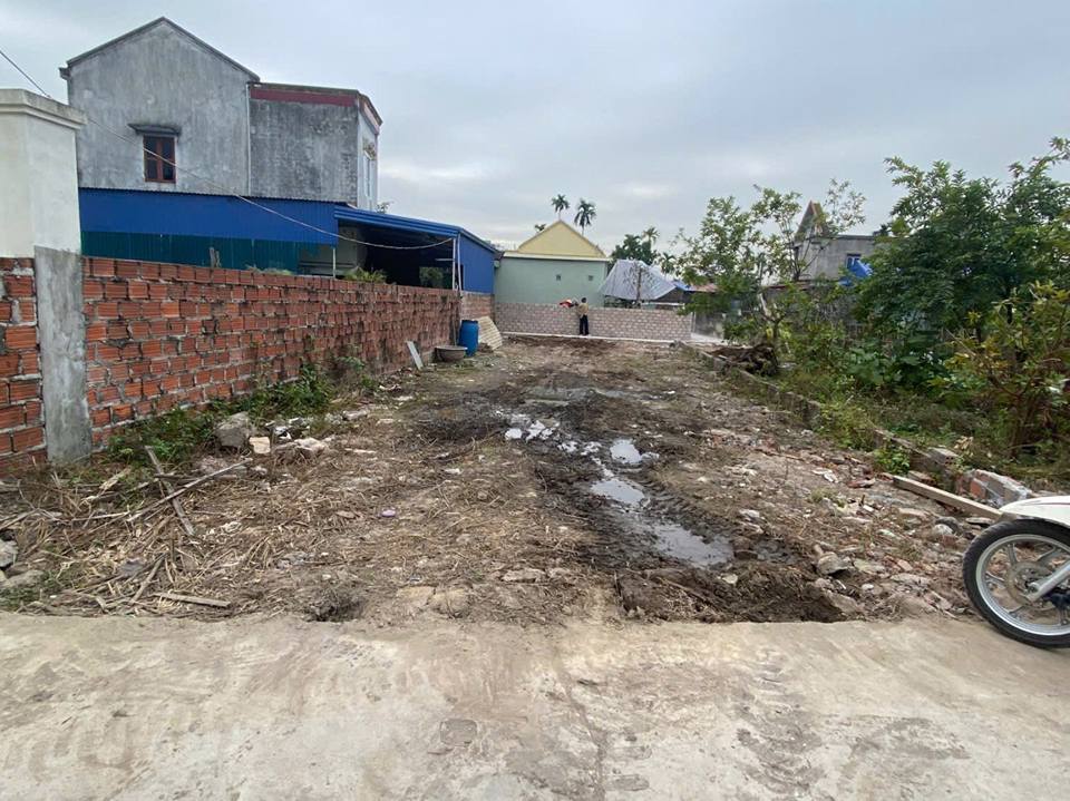 Đất nền Hoa Động, Thủy Nguyên 150m² giá 3 tỷ - Sổ đỏ chính chủ, ô tô vào tận nơi!