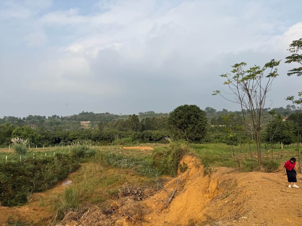 Đất nền xã Liên Sơn Lương Sơn 2098m² giá 2.098 tỷ - Tiềm năng đầu tư lớn!