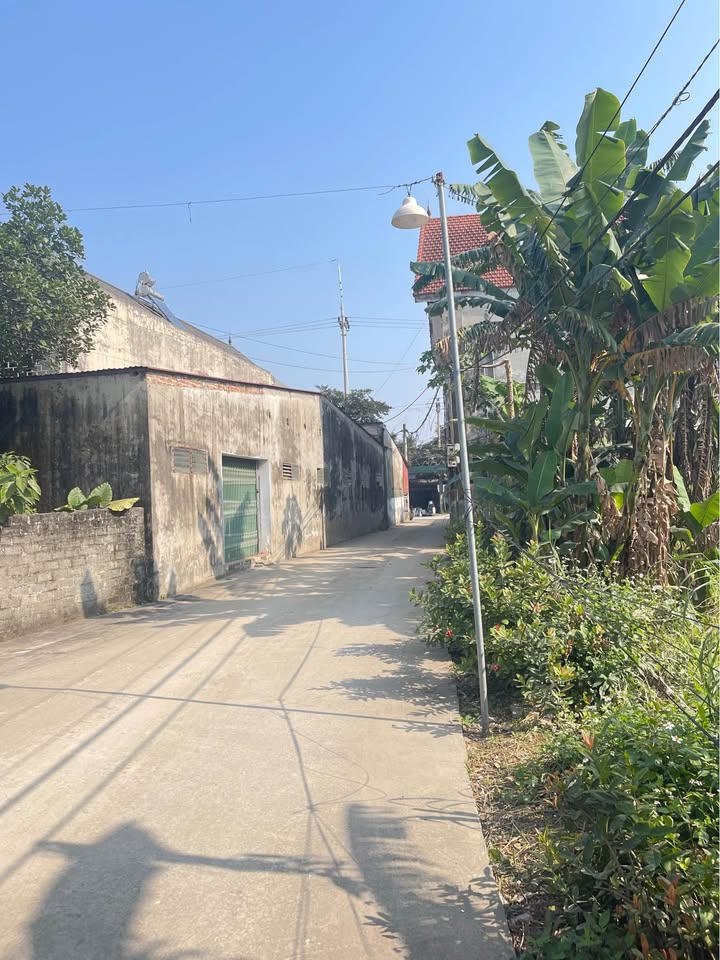 Đất nền đẹp 2019m² tại Đức Thịnh, Tản Lĩnh - Đầu tư sinh lời lý tưởng!