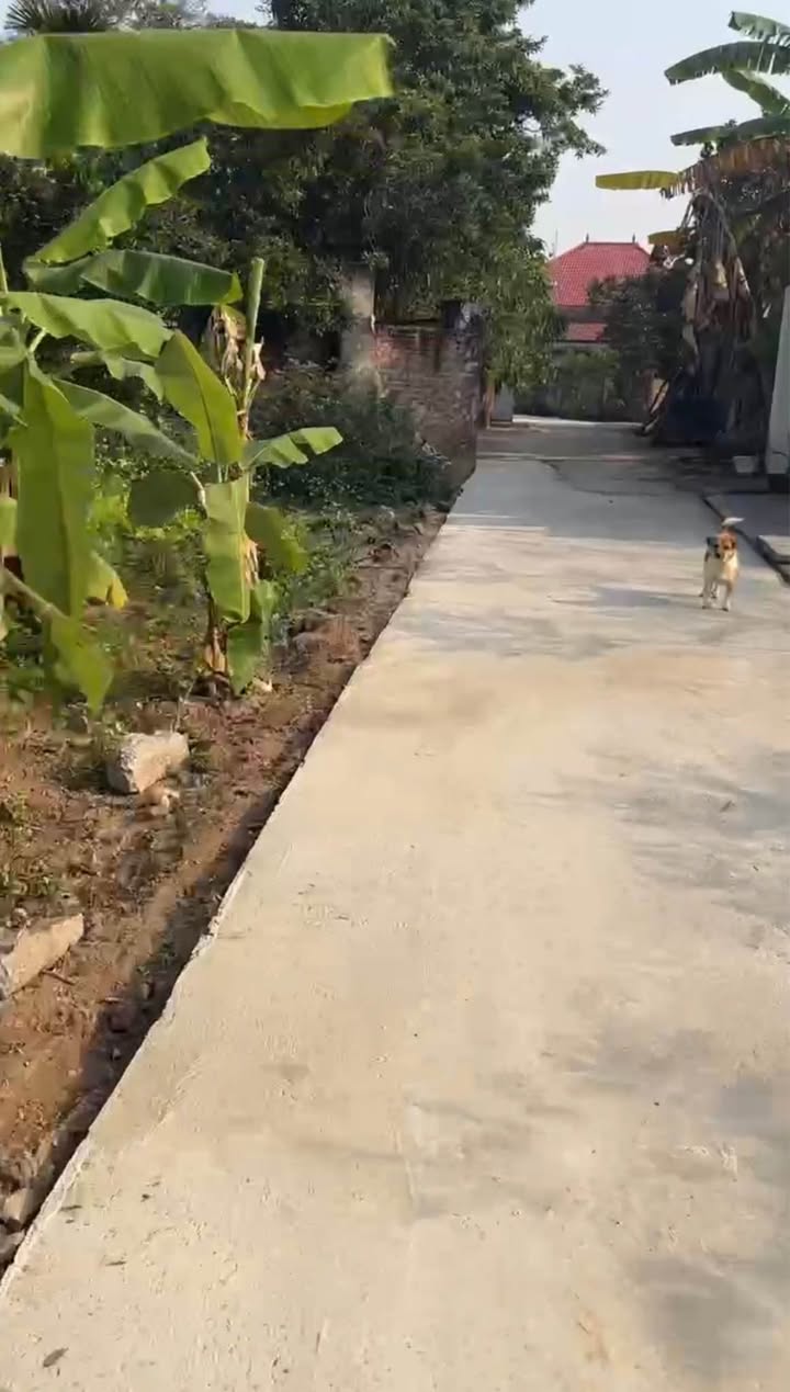 Đất nền Tích Giang 80m² giá 1 tỷ - Đường ô tô vào tận nơi!