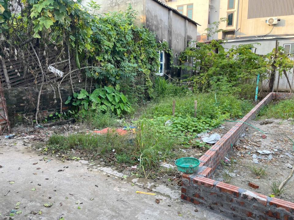 Đất thổ cư Thọ Lộc, Phúc Thọ 48m² giá 1.5 tỷ - Cơ hội đầu tư hấp dẫn!