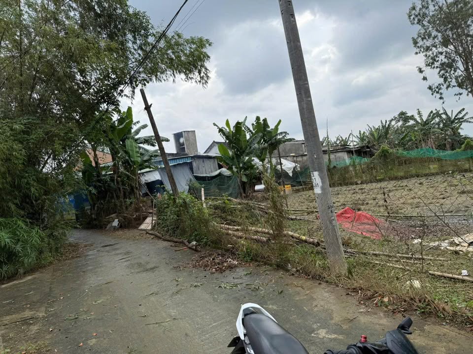 Đất ở Hòa Tiến, Hòa Vang 150m² giá 1.3 tỷ - Cơ hội đầu tư hấp dẫn!