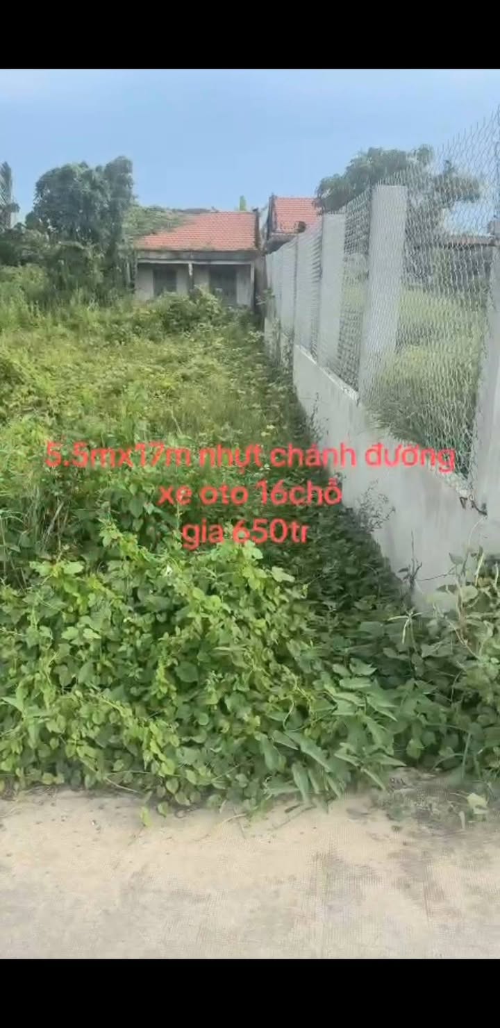 Đất thổ cư 97m² mặt tiền đường bê tông Nhựt Chánh - Giá chỉ 650 triệu!