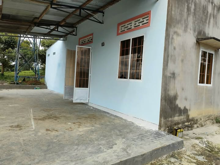 Đất vườn 3,7 sào tại thôn 6 Hòa Nam - Giá chỉ 2,3 tỷ, sẵn sàng giao dịch!