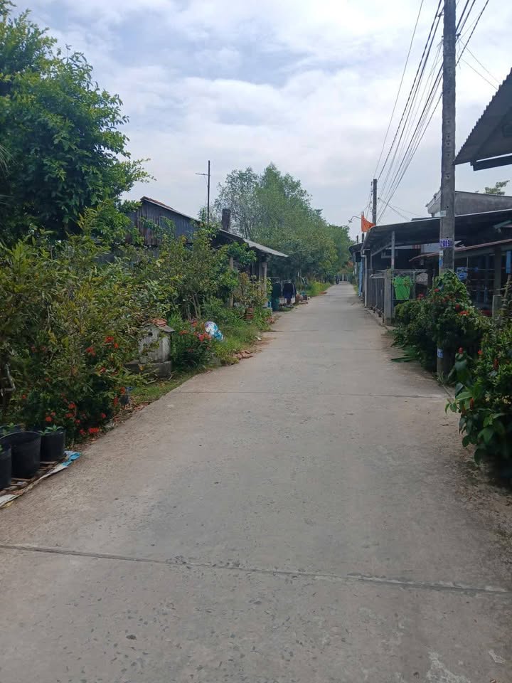 Bán đất nền lộ đan xã Tân Phước, Đồng Tháp 231m² chỉ 660 triệu - Đất sạch, vị trí đẹp!
