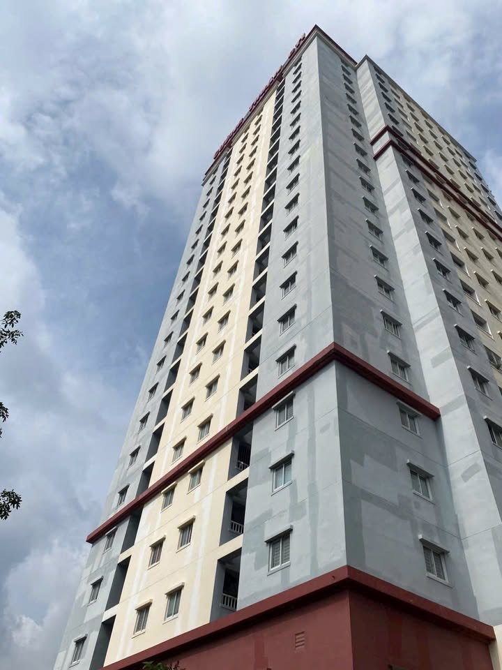 Chung cư Sơn An Tam Hòa Biên Hòa 2PN giá 5 triệu - Nhà mới đẹp, tiện ích đầy đủ!