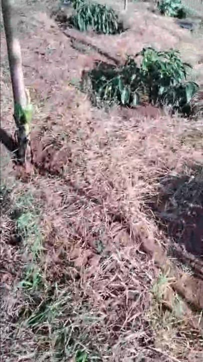 Đất nền 14,000m² tại thôn 8 Quảng Tân, Tuy Đức - Giá 1.65 tỷ - Có bớt lộc!