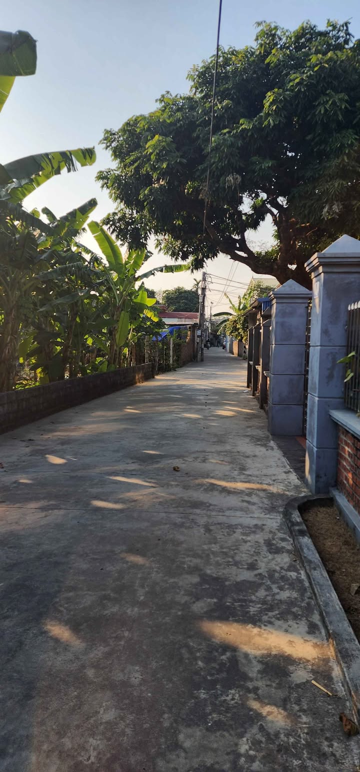 Đất nền Hùng Vương, Hồng Bàng 72m² giá 2 tỷ - Ô tô vào tận nhà!