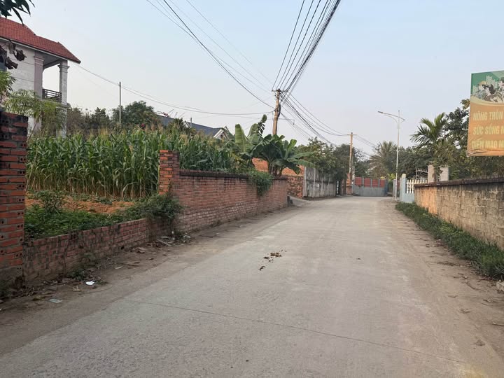 Đất thổ cư Thanh Đình, Việt Trì 233m² giá chỉ 2.95 tỷ - Cơ hội đầu tư tuyệt vời!