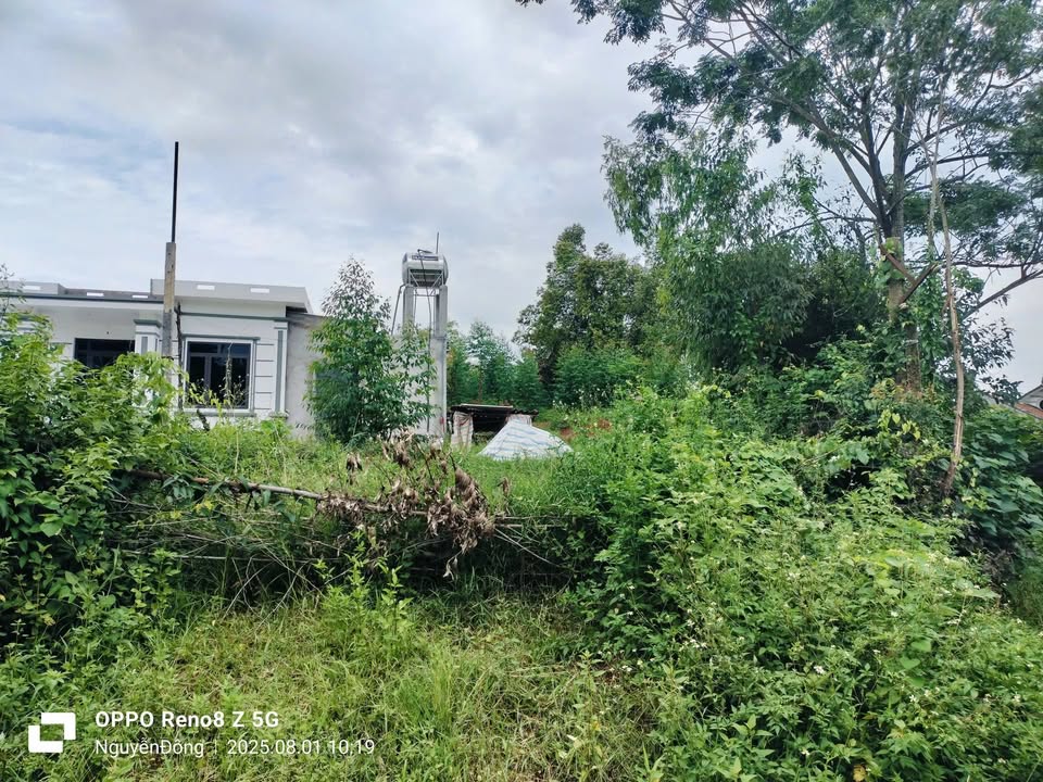 Đất thổ cư 164m² phường Đồng Lạc, Bắc Giang - Mặt tiền 5,8m, bán nhanh 750 triệu