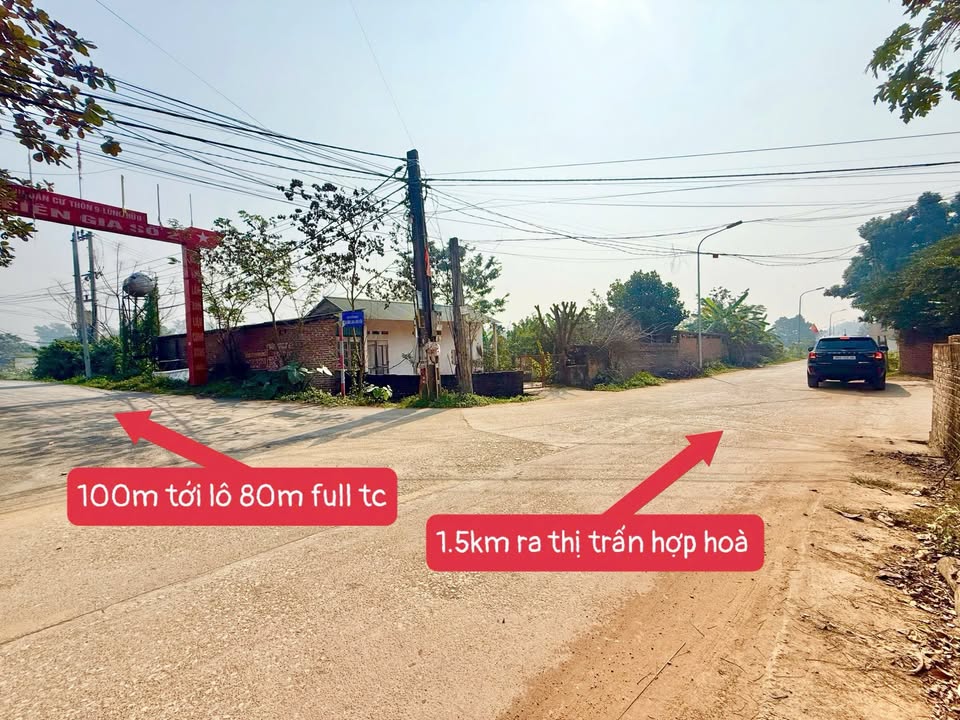 Đất thổ cư 80m² tại thôn 9, xã Hoàng Hoa, Tam Dương - Giá chỉ 600 triệu!