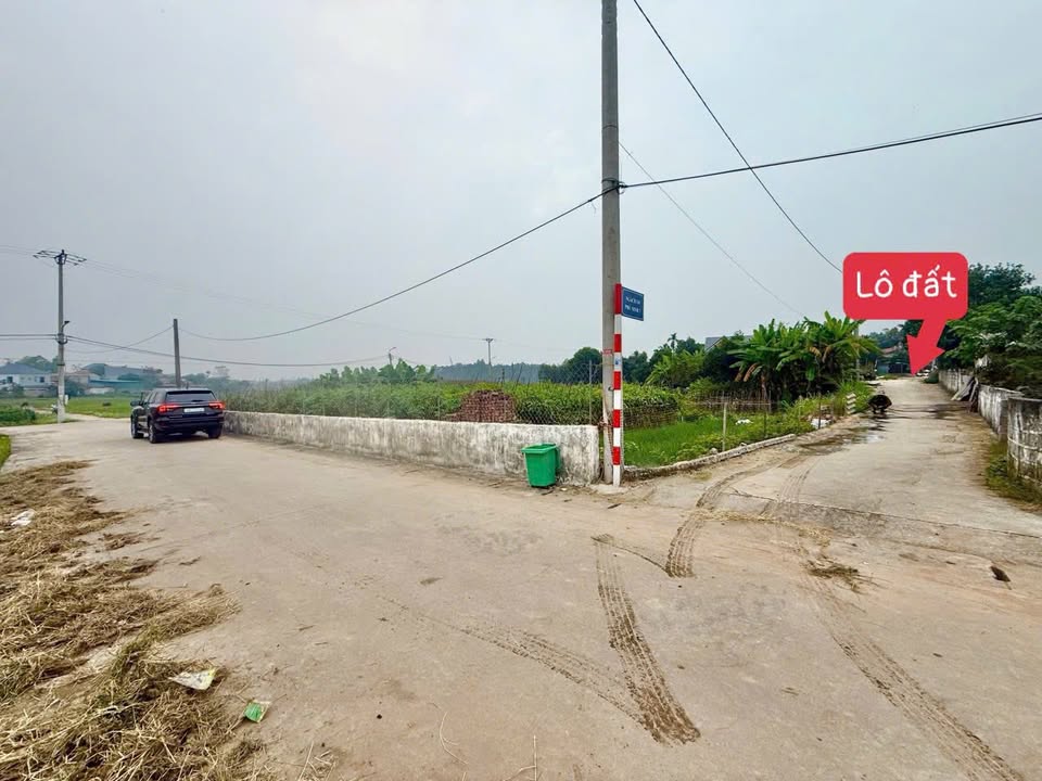 Đất nền Phú Ninh, Thanh Vân, Tam Dương 91m² - Cơ hội đầu tư hấp dẫn!