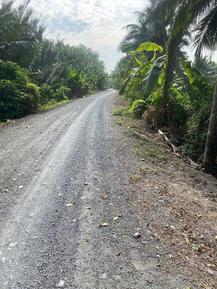 Nhà vườn cấp 4 xã Phú Ngãi Trị 1800m² giá 2.9 tỷ - Đầu tư lý tưởng!