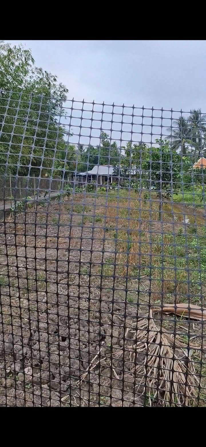 Đất nền mặt tiền lộ 2,5m An Điền 1, Vĩnh Long 602m² giá 6.011 tỷ - Cơ hội đầu tư hấp dẫn!