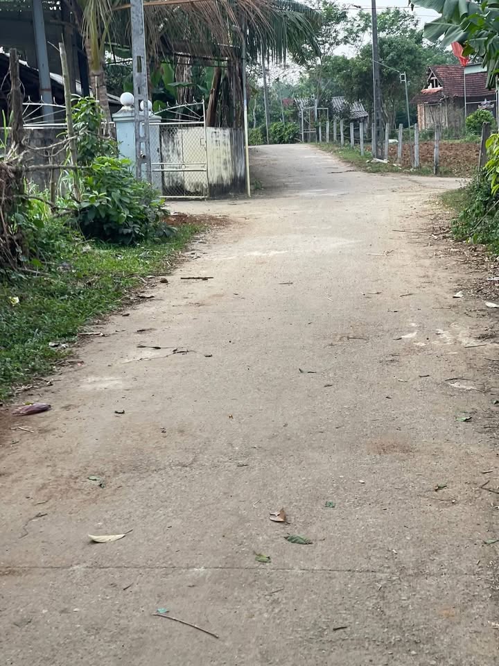 Đất nền Thái Hòa 256m² giá 600 triệu - Đầu tư sinh lời nhanh chóng!