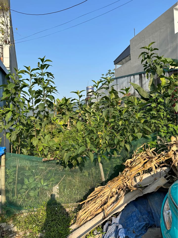 Đất Tân Hà Tuyên Quang 120m² - Sổ đỏ chính chủ, giá thỏa thuận