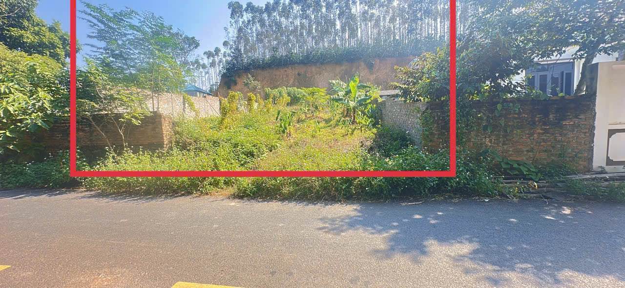 Đất nền Tam Đảo 390m² giá 2 tỷ - Cơ hội đầu tư sinh lời tuyệt vời!