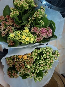 Đất nền Định Hiệp Dầu Tiếng 8000m² giá 999 triệu - Cơ hội đầu tư tuyệt vời!