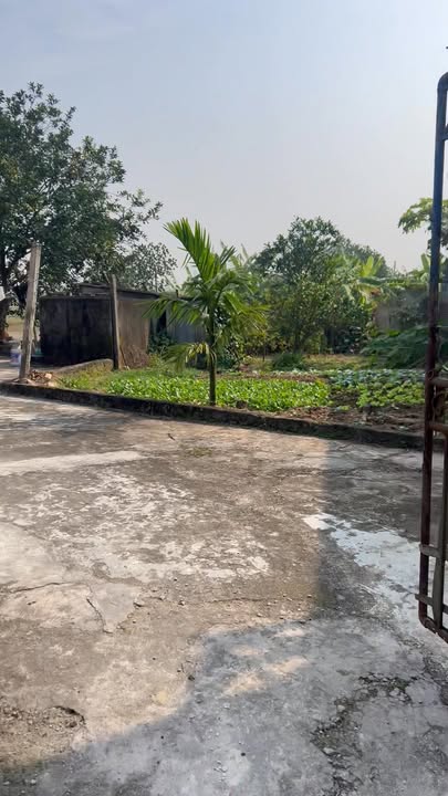 Đất nền Tịnh Xá, Ý Yên 189m² - Đầu tư sinh lời ngay hôm nay!