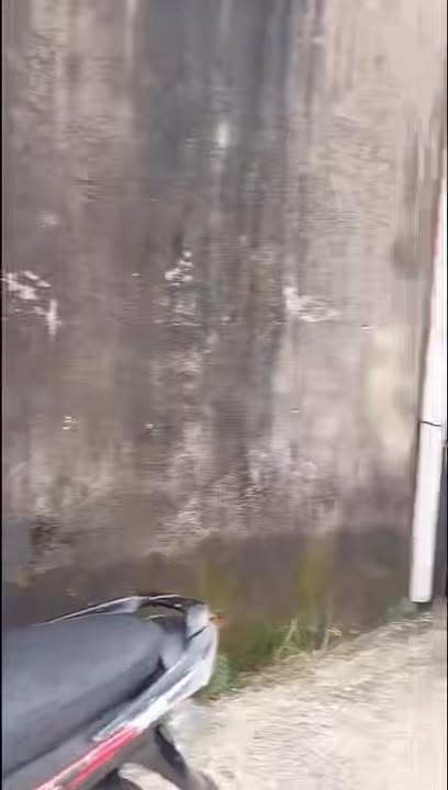 Đất thổ cư Tân Hiệp Hóc Môn 100.7m² giá 3.49 tỷ - Vị trí đắc địa, dân trí cao!