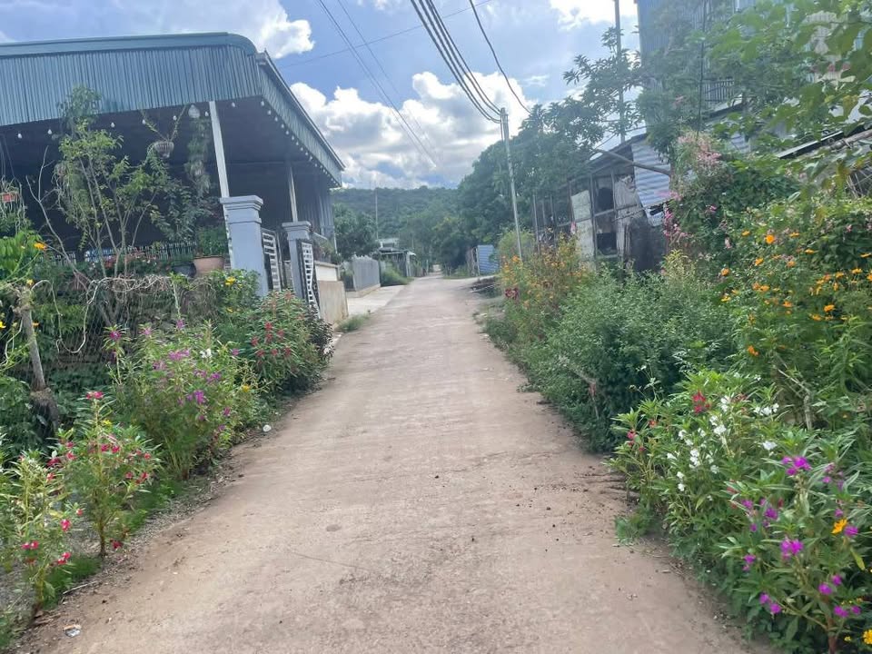 Nhà cấp 4 Chiềng Sinh 124m² giá 9xx triệu - Kinh doanh sầm uất ngay UBND!