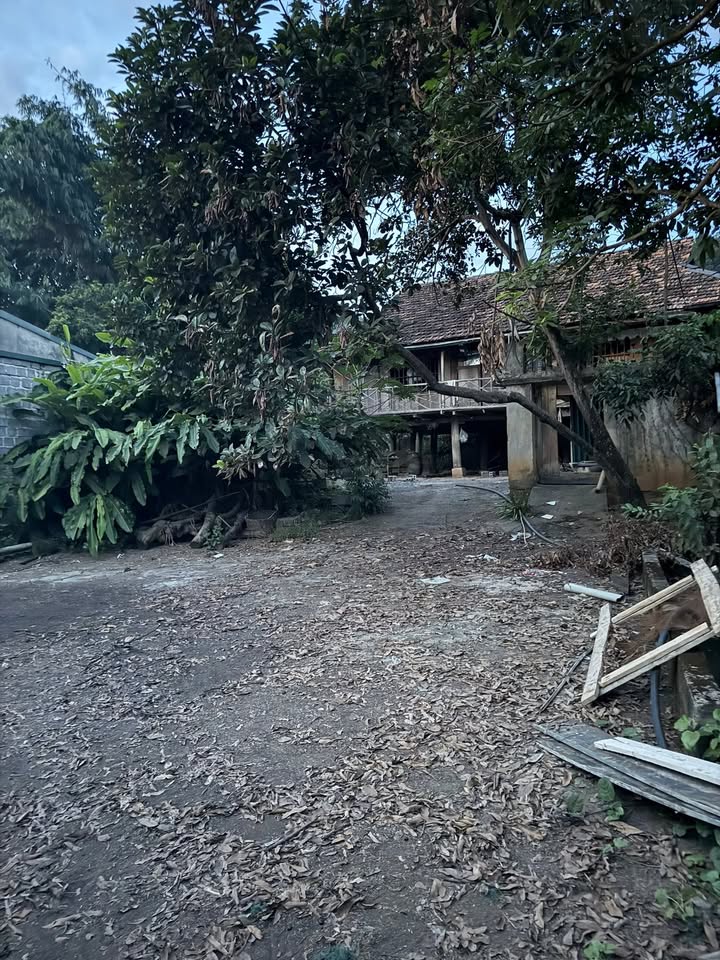 Đất nền phường Chiềng Sinh 520m² giá 970 triệu - Kinh doanh tốt, đông dân cư!