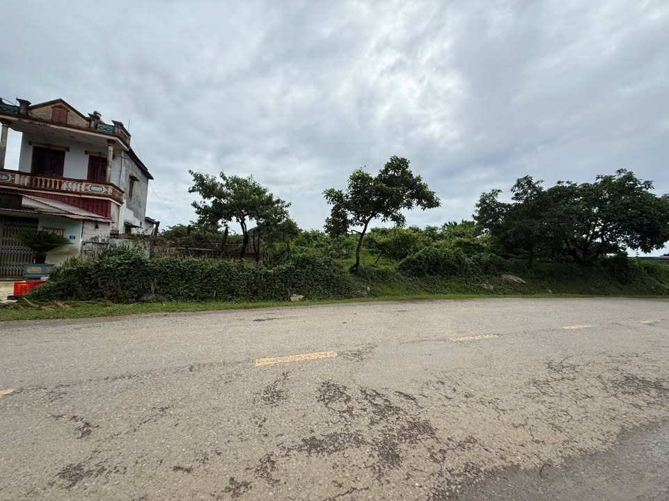 Đất nền Mộc Châu 3750m² giá thương lượng - Tiềm năng du lịch vượt trội!