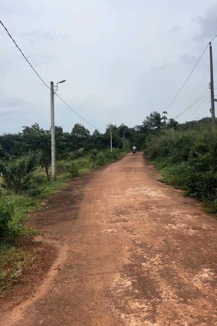 Đất nền Lộc Hiệp, Lộc Ninh, Bình Phước 100m² giá chỉ 200 triệu - Đầu tư sinh lời ngay!