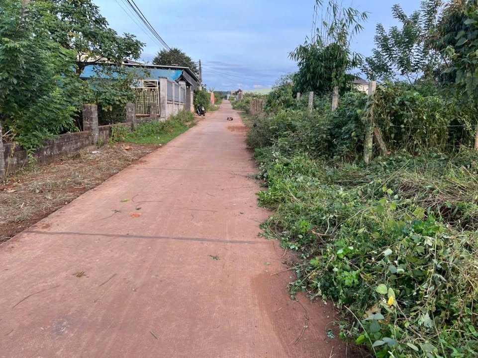 Đất nền Hẻm 412 Trường Sơn, Pleiku 290m² giá 700 triệu - Cơ hội đầu tư tuyệt vời!