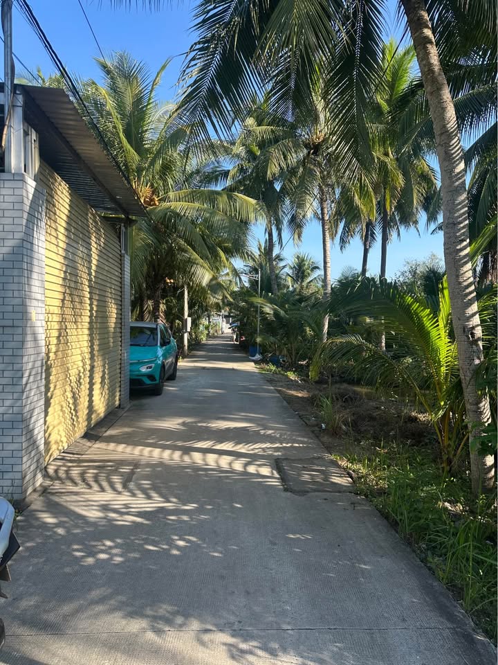 Đất hẻm Bến Tre 130m² giá 450 triệu - Tiềm năng đầu tư hấp dẫn!