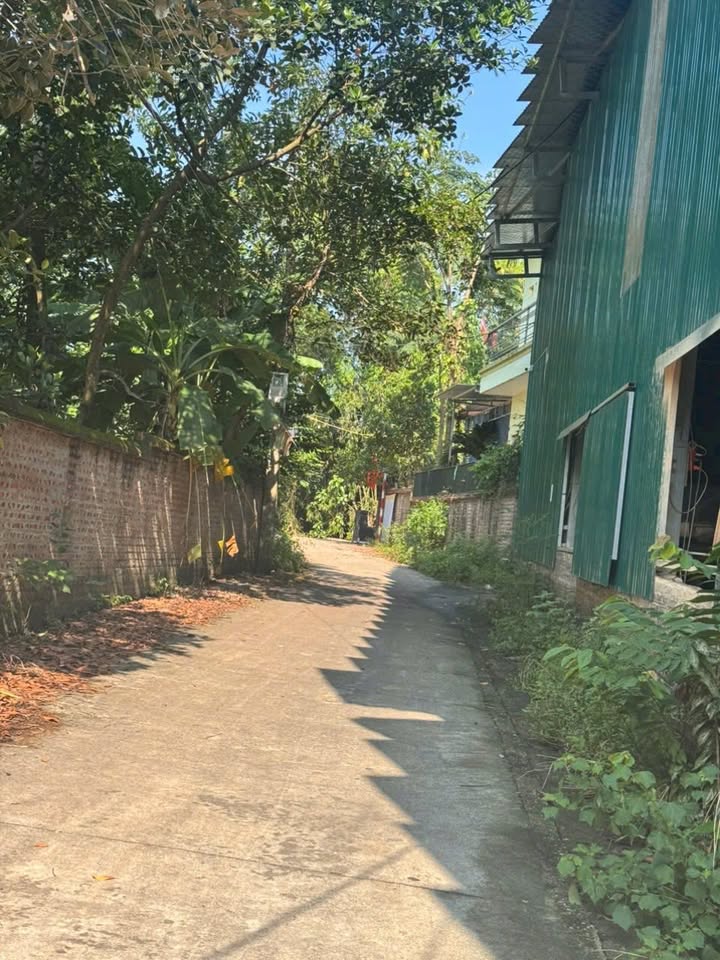 Đất nền Hạ Bằng 136m² giá thỏa thuận - Đường ô tô vào tận nơi!