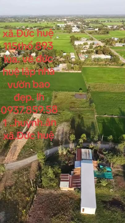 Đất nền Ấp 4, xã Đông Thành, huyện Đức Huệ 115m² - Sổ hồng riêng, giá thỏa thuận!