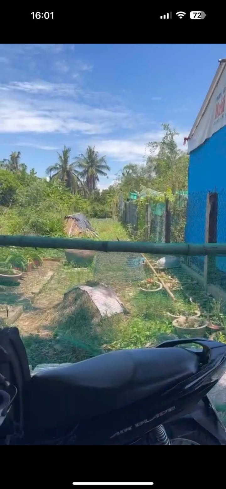 Đất thổ cư 100% tại Mỹ Thạnh, Tân Trụ, Long An 255m² giá 429 triệu - Cơ hội đầu tư hấp dẫn!