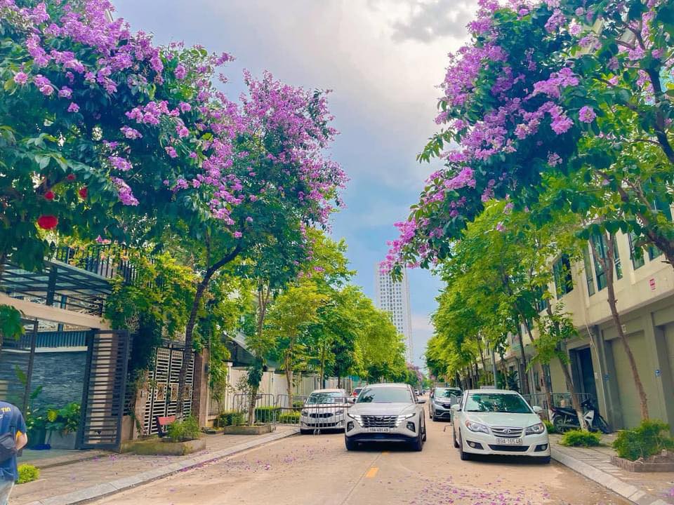 Shophouse Khu A Geleximco Hà Đông 104m² giá chỉ 19,5 tỷ - Cơ hội đầu tư hấp dẫn!