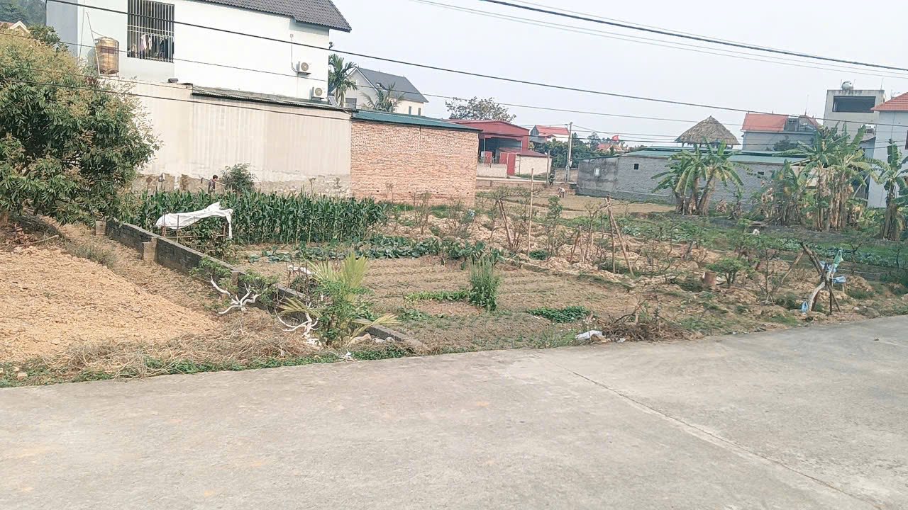 Đất thổ cư phường Tân An, Yên Dũng, Bắc Giang 200m² - Giá cực hấp dẫn chỉ 2 tỷ!