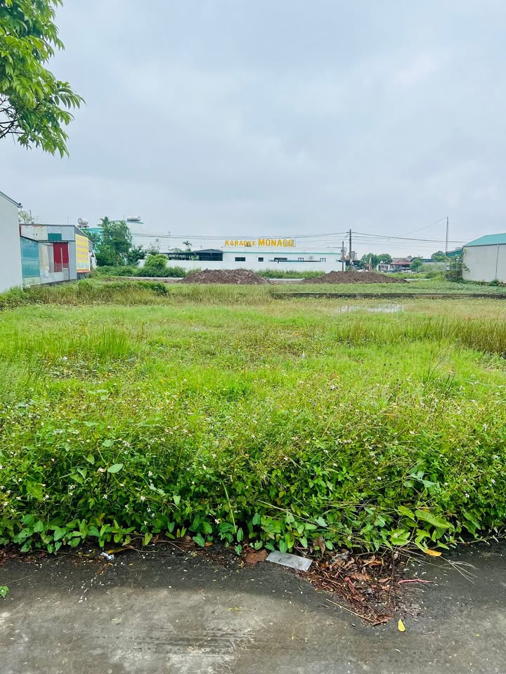 Đất nền Thanh Tân Kiến Xương 118m² giá 700 triệu - Chính chủ bán nhanh!