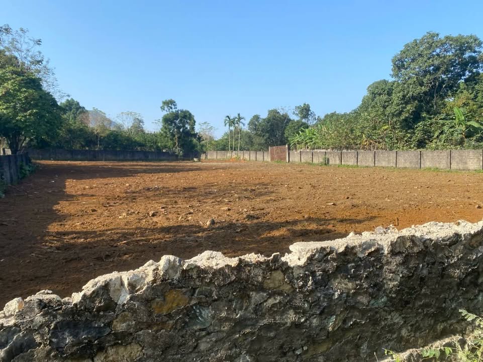 Đất thổ cư chính chủ 2500m² giá 7.5 tỷ - Gần khu công nghiệp Lương Sơn