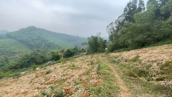 Đất rừng sản xuất 1,3ha tại Cao Dương, Lương Sơn, Hoà Bình - Cơ hội đầu tư hiếm có!