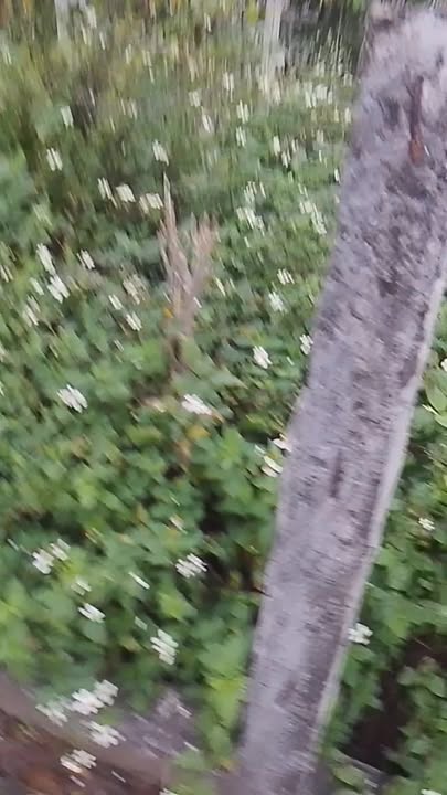 Đất nền 1500m² thôn Kim Bông, xã Tân Xã, Thạch Thất - Giá chỉ 28.5 tỷ VND