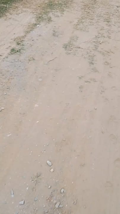 Đất thổ cư 1034m² tại Thạch Thất - Giá chỉ 6.73 tỷ, cơ hội đầu tư tuyệt vời!