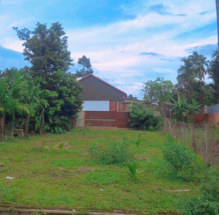 Đất mặt tiền đường bê tông Tân Hoà, Ea Ktur 270m² giá chỉ 1.45 tỷ - Cơ hội đầu tư hấp dẫn!