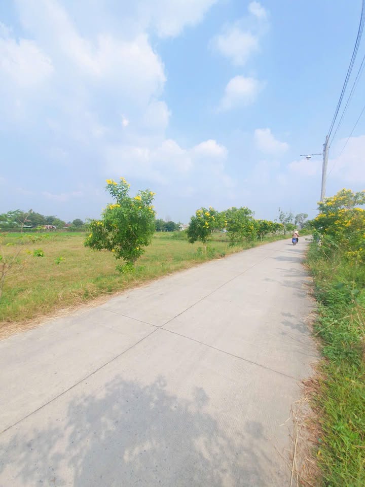 Đất nền Đức Hòa Đông 4410m² giá 12 tỷ - Đầu tư sinh lời cao!