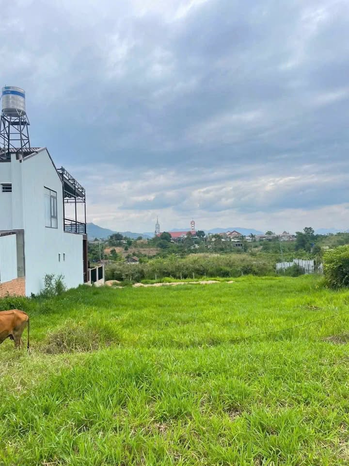 Đất thổ cư Lộc Châu Bảo Lộc 532m² giá 2.3 tỷ - Khu đô thị xanh lý tưởng!