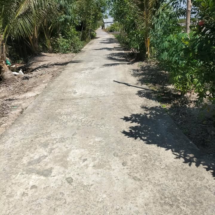 Đất Farm 13000m² tại ấp 8B, xã Phong Hiệp - Chính chủ bán gấp!