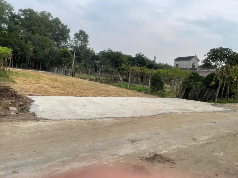 Đất nền Vinh Phú 300m² giá 3.6 tỷ - Đầu tư sinh lời ngay!