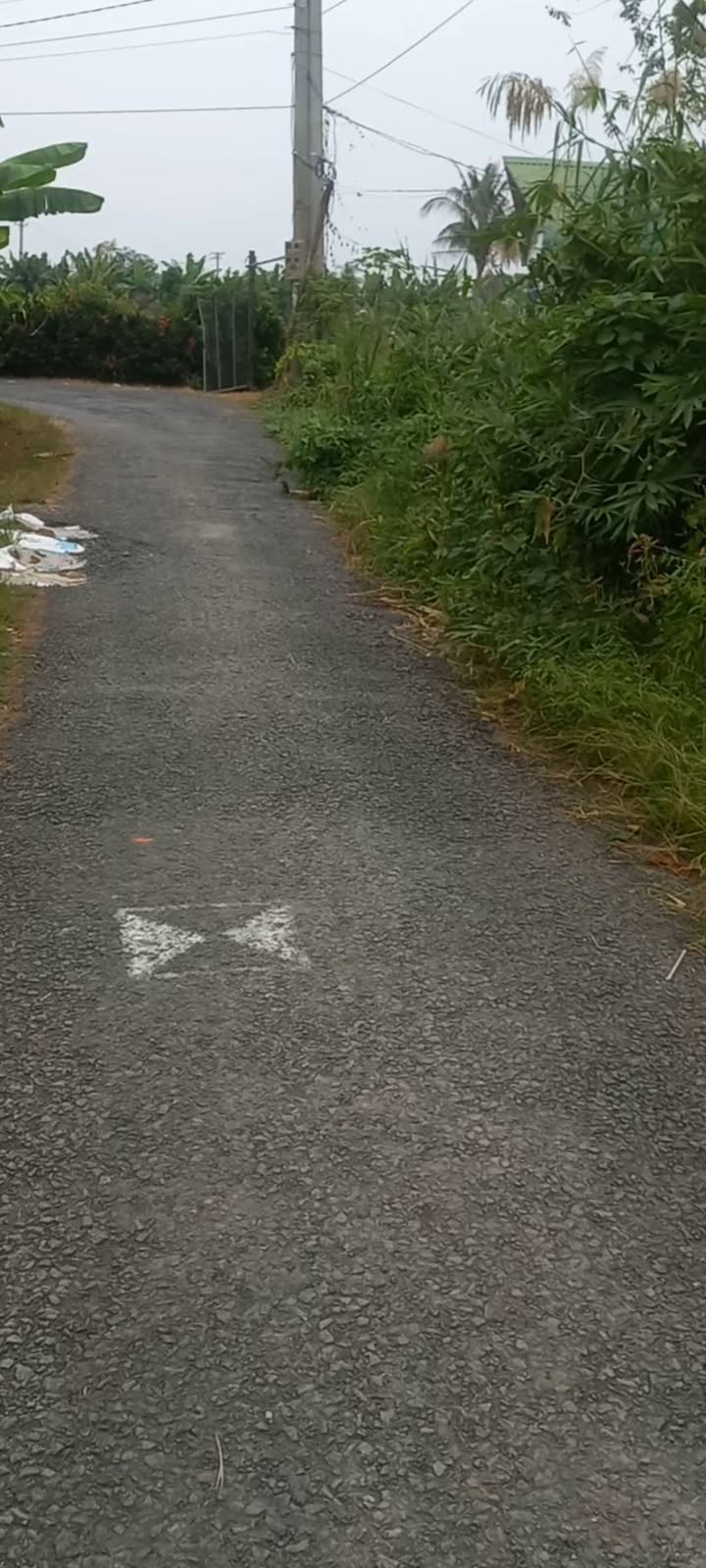 Đất nền Tịnh Thới, Cao Lãnh 700m² - Tiềm năng đầu tư lớn!