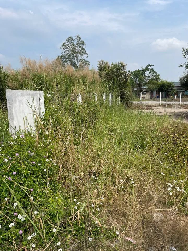 Đất nền thổ cư 100m² tại Gò Công - Sổ hồng chính chủ, giá 460 triệu