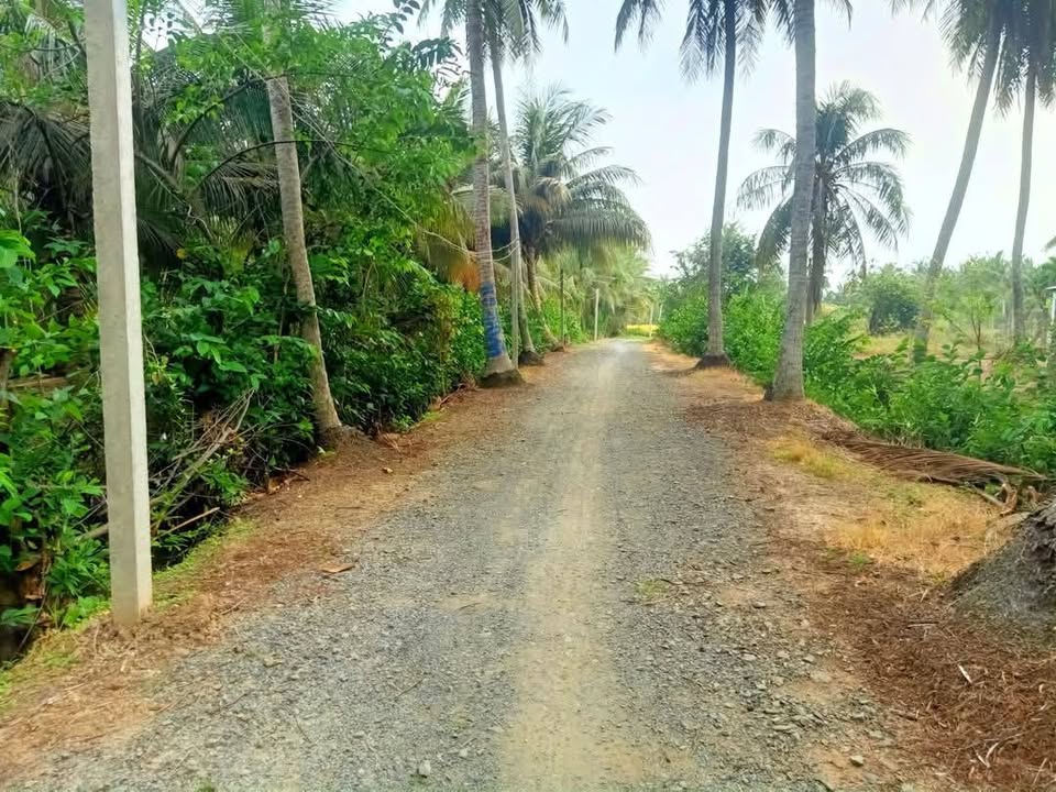 Đất nền 306m² xã Vĩnh Hữu, huyện Gò Công Tây - Giá chỉ 290 triệu, cơ hội đầu tư hấp dẫn!