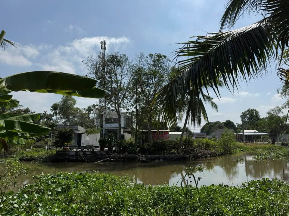 Đất vườn 20.000m² Định Môn, Cái Răng - Giá chỉ 800 triệu - Đầu tư sinh lời ngay!