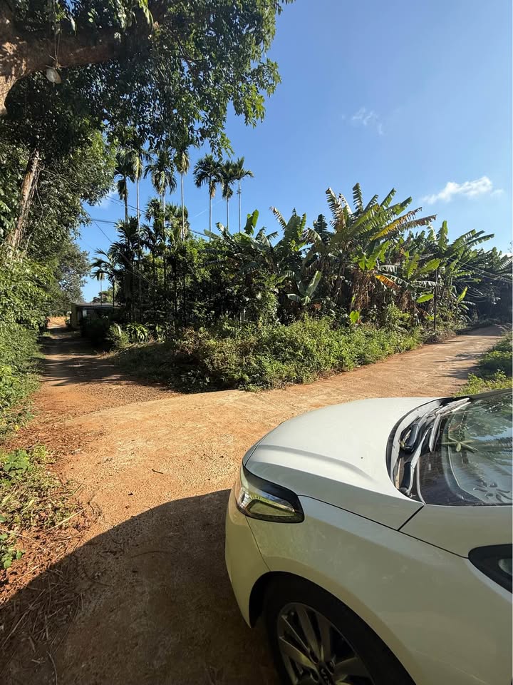 Đất nền Buôn Hồ 2120m² giá 3 tỷ - Cơ hội đầu tư sinh lời tuyệt vời!